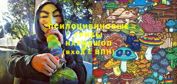 крисы Алексин