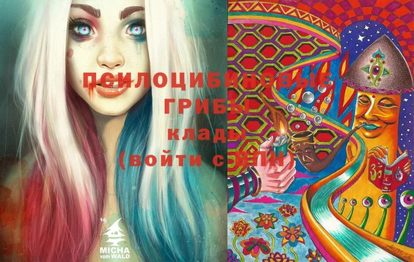 apvp Алексеевка