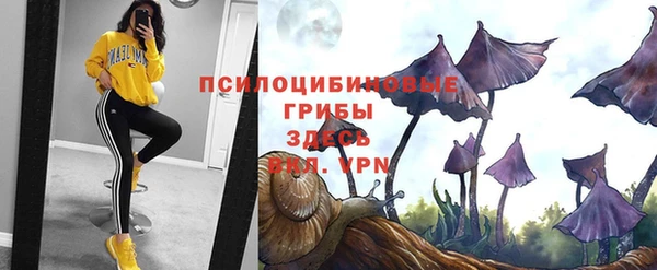 apvp Алексеевка